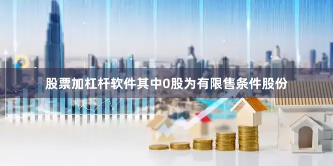 股票加杠杆软件其中0股为有限售条件股份