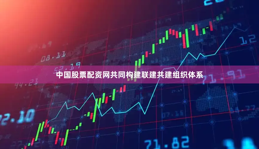 中国股票配资网共同构建联建共建组织体系