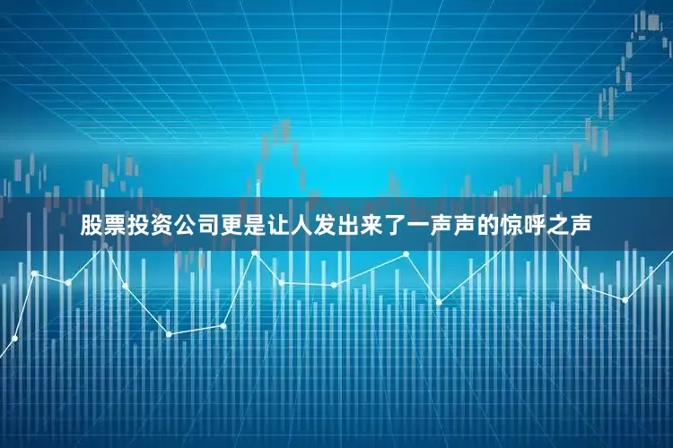 股票投资公司更是让人发出来了一声声的惊呼之声