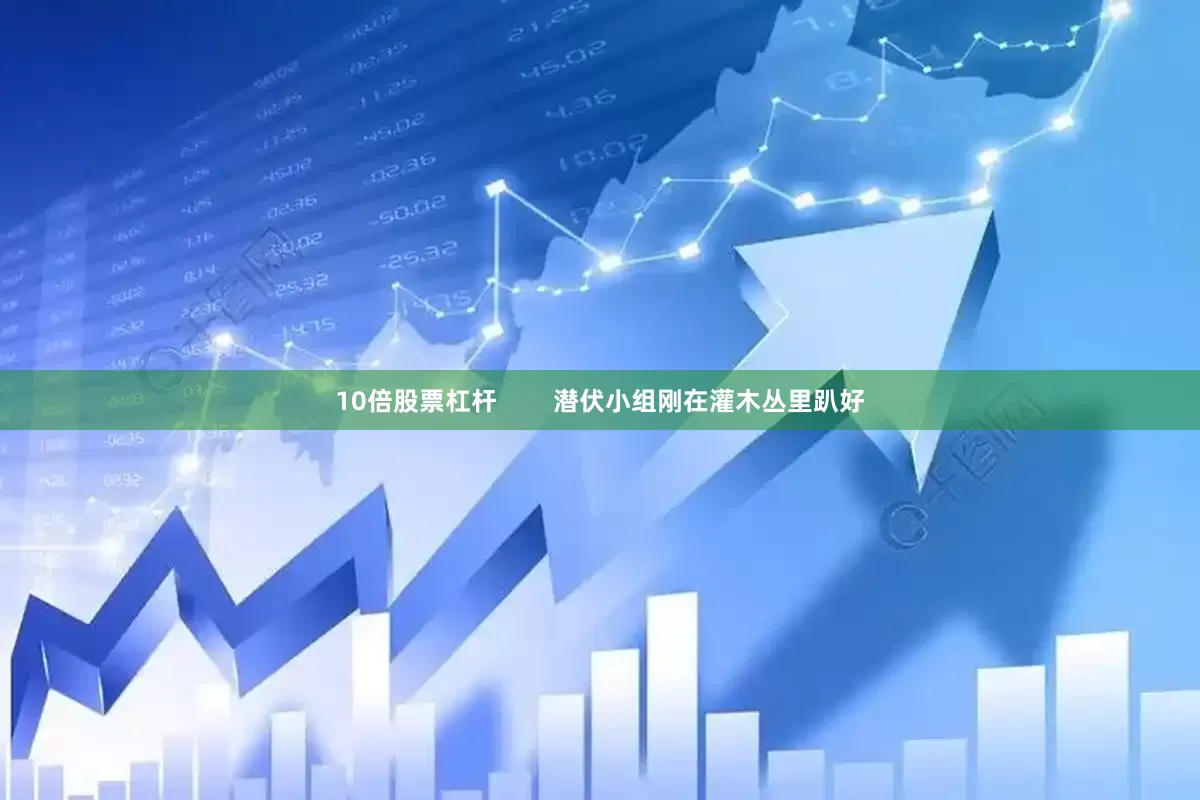 10倍股票杠杆        潜伏小组刚在灌木丛里趴好