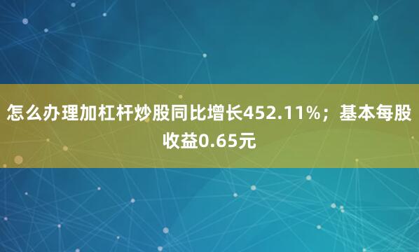 怎么办理加杠杆炒股同比增长452.11%；基本每股收益0.65元