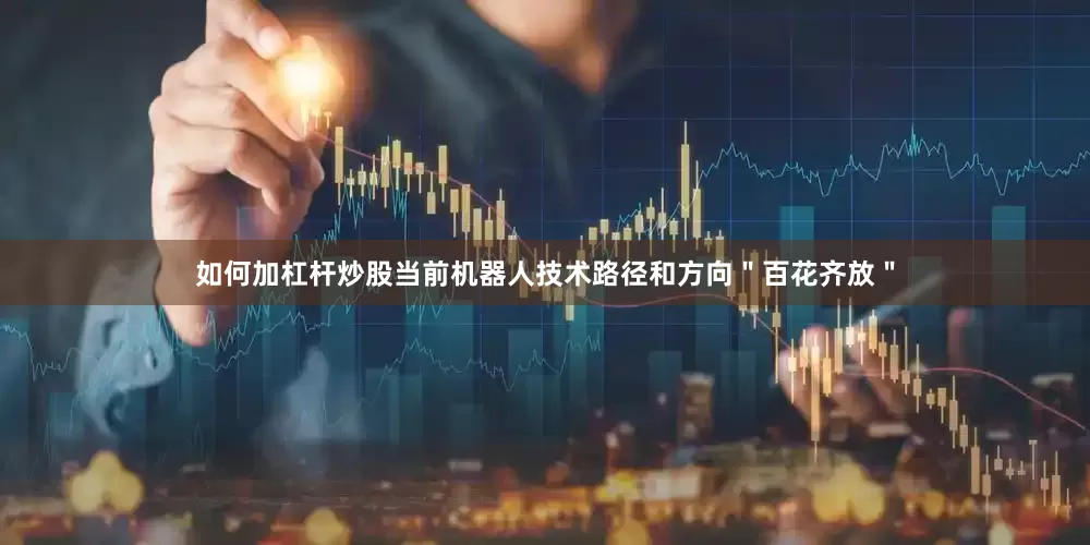 如何加杠杆炒股当前机器人技术路径和方向＂百花齐放＂