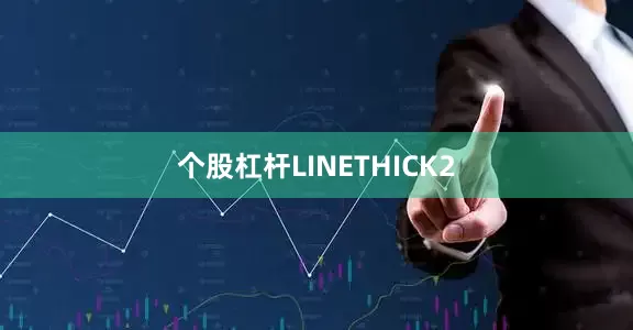 个股杠杆LINETHICK2